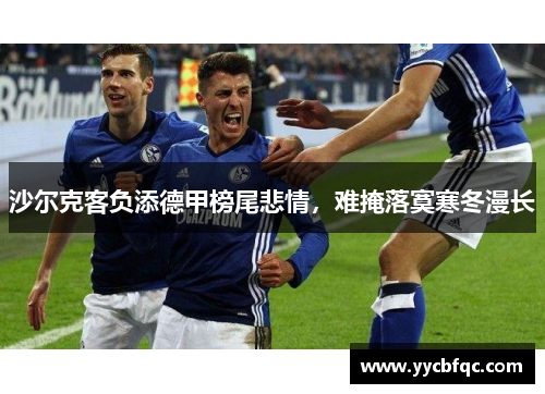 沙尔克客负添德甲榜尾悲情，难掩落寞寒冬漫长