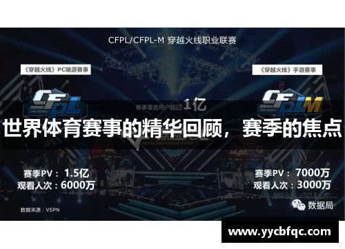 世界体育赛事的精华回顾，赛季的焦点