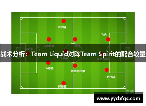 战术分析：Team Liquid对阵Team Spirit的配合较量