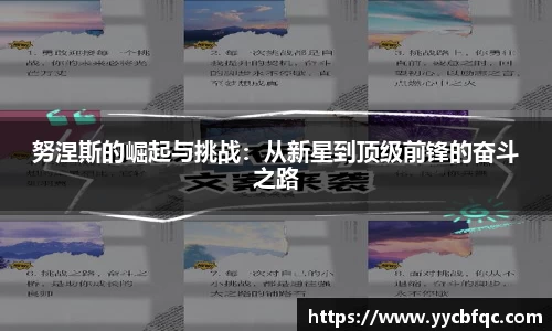 努涅斯的崛起与挑战：从新星到顶级前锋的奋斗之路